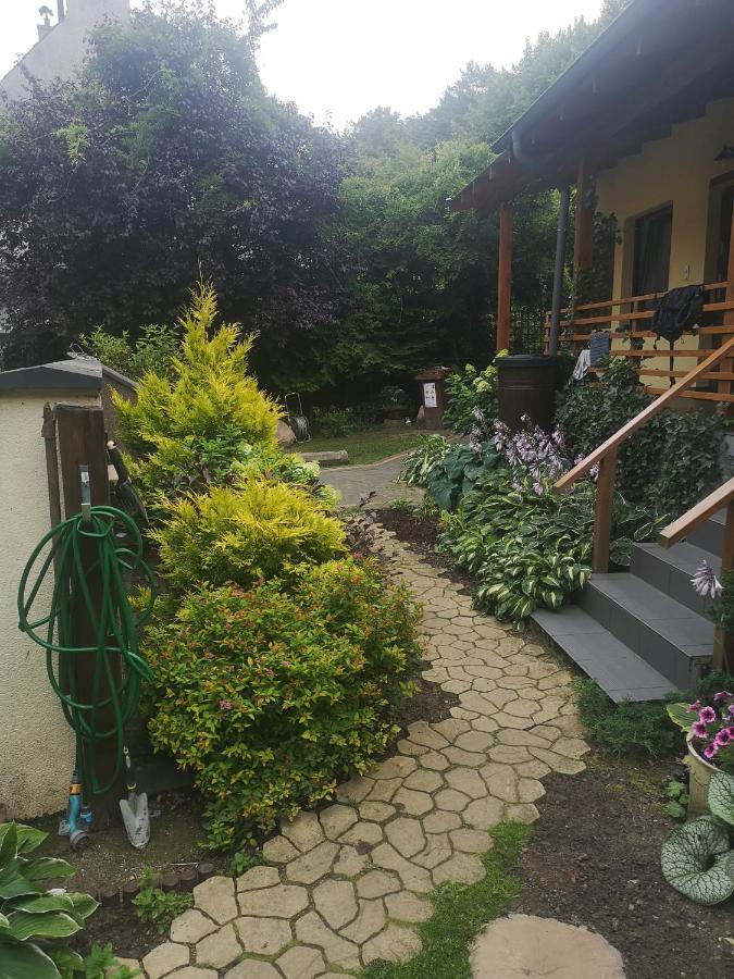 Domek Przy Lesie 2 — Photos 1